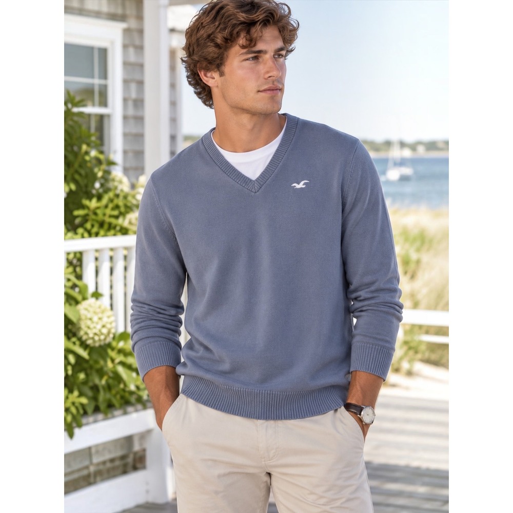 Vintage Hollister Y2K V Neck Sweater Gray Blue Cotton Knit Men's Small Preppy